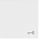 Busch-Jaeger 2520 TR-84 schakelwip symbool sleutel Future Linear studiowit glans