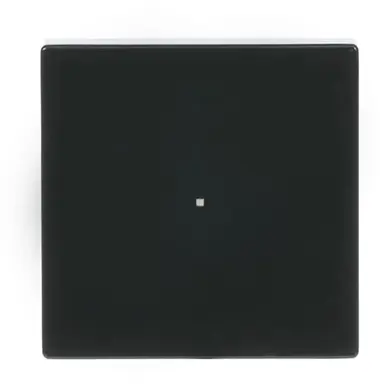 Busch-Jaeger 6230-10-81 bedieningswip 1-voudig tbv bedieningselement flex 1-voudig Future Linear antraciet glans