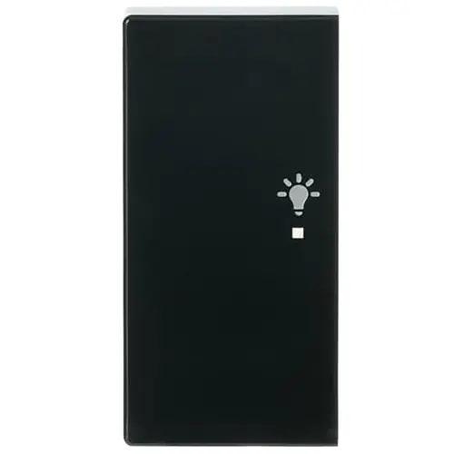 Busch-Jaeger 6231-21-81 bedieningswip links symbool licht tbv bedieningselement flex 2-voudig Future Linear antraciet glans