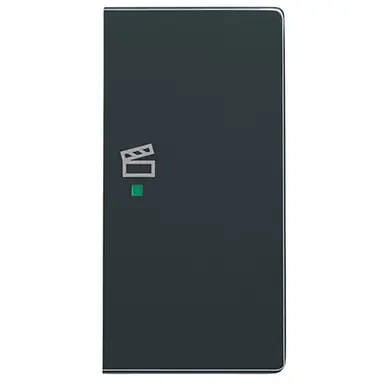 Busch-Jaeger 6233-22-81 bedieningswip rechts symbool scene tbv bedieningselement flex 2-voudig Future Linear antraciet glans