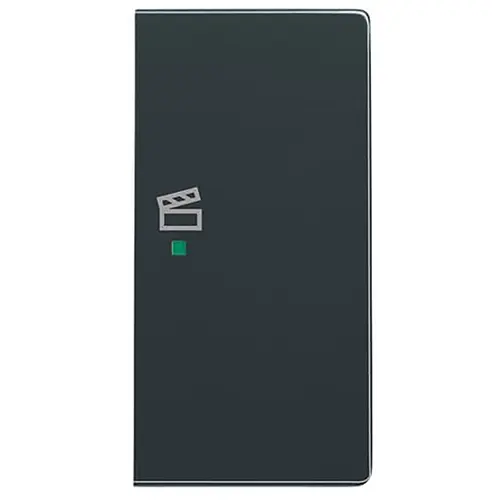 Busch-Jaeger 6233-22-81 bedieningswip rechts symbool scene tbv bedieningselement flex 2-voudig Future Linear antraciet glans