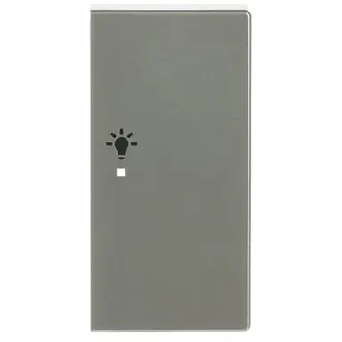 Busch-Jaeger 6231-22-866 bedieningswip rechts symbool licht tbv bedieningselement flex 2-voudig Pure RVS