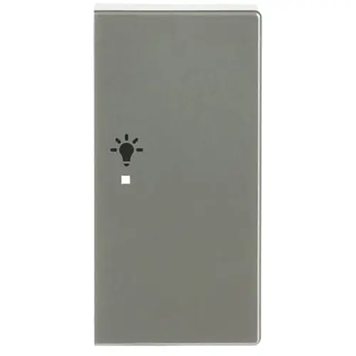 Busch-Jaeger 6231-22-866 bedieningswip rechts symbool licht tbv bedieningselement flex 2-voudig Pure RVS