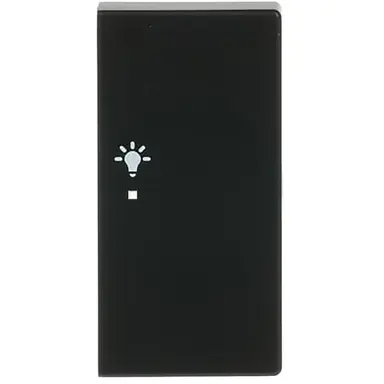 Busch-Jaeger 6231-22-885 bedieningswip rechts symbool licht tbv bedieningselement flex 2-voudig Future Linear zwart mat