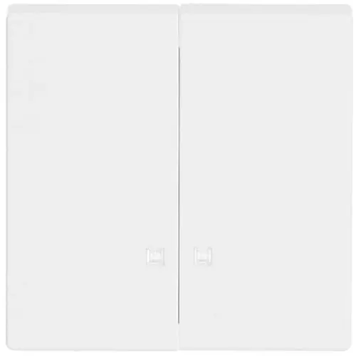 Busch-Jaeger 1785 K-84 schakelwip 2-voudig met controlevenster Future Linear studiowit glans