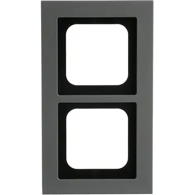 Busch-Jaeger 1722-270 afdekraam 2-voudig Axcent platin