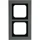 Busch-Jaeger 1722-270 afdekraam 2-voudig Axcent platin