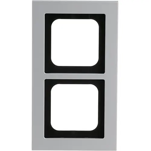 Busch-Jaeger 1722-276 afdekraam 2-voudig Axcent titanium