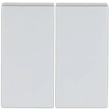 Busch-Jaeger 6736 FoH-83 Friends of Hue schakelwip 2-voudig Future Linear aluzilver mat