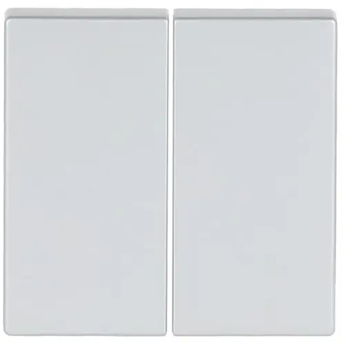 Busch-Jaeger 6736 FoH-83 Friends of Hue schakelwip 2-voudig Future Linear aluzilver mat