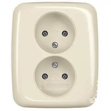 Busch-Jaeger 202 UJR-212 wandcontactdoos 2-voudig zonder randaarde voor enkele inbouwdoos Standaard SI