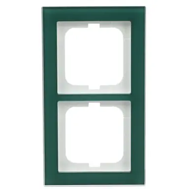 Busch-Jaeger 1722-226 afdekraam 2-voudig Axcent glas avocado