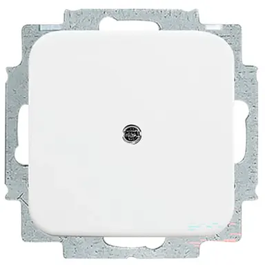 Busch-Jaeger 2538-214 blinddeksel incl. draagframe Reflex SI