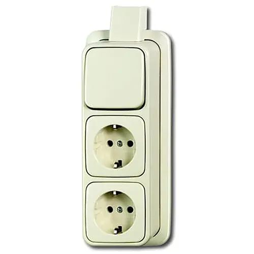 Busch-Jaeger 2601/6/2300/2 EAPJ combinatie wisselschakelaar/2x wandcontactdoos met randaarde K/P-25 opbouw AP plus creme