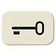 Busch-Jaeger 2525 TR impulsdrukker symbool deur opbouw AP plus creme
