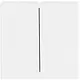 Busch-Jaeger 1785-84 schakelwip 2-voudig Future Linear studiowit glans