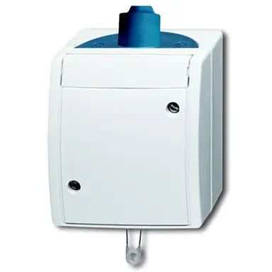 Busch-Jaeger 2610/6 W-53-503 trekschakelaar opbouw Ocean IP44 grijs/blauw