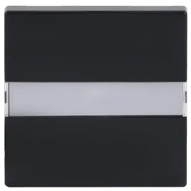 Busch-Jaeger 1764 NLI-81 schakelwip tekstkader met controlevenster Future Linear antraciet glans