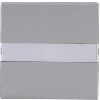 Busch-Jaeger 1764 NLI-83 schakelwip tekstkader met controlelicht Future Linear aluzilver