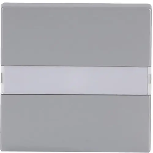 Busch-Jaeger 1764 NLI-83 schakelwip tekstkader met controlelicht Future Linear aluzilver