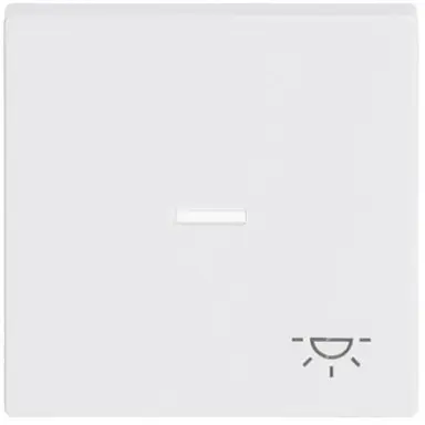 Busch-Jaeger 1789 LI-84 schakelwip controlevenster symbool licht Future Linear studiowit glans