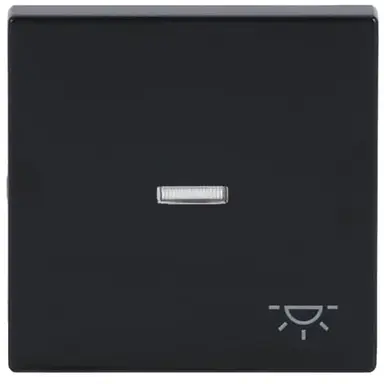 Busch-Jaeger 1789 LI-81 schakelwip controlevenster symbool licht Future Linear antraciet glans