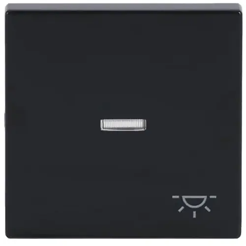 Busch-Jaeger 1789 LI-81 schakelwip controlevenster symbool licht Future Linear antraciet glans