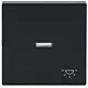 Busch-Jaeger 1789 LI-81 schakelwip controlevenster symbool licht Future Linear antraciet glans