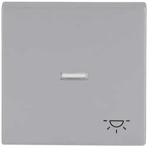 Busch-Jaeger 1789 LI-83 schakelwip controlevenster symbool licht symbool Future Linear aluzilver