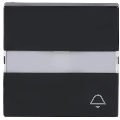 Busch-Jaeger 1789 TR-81 schakelwip controlevenster symbool sleutel Future Linear antraciet glans