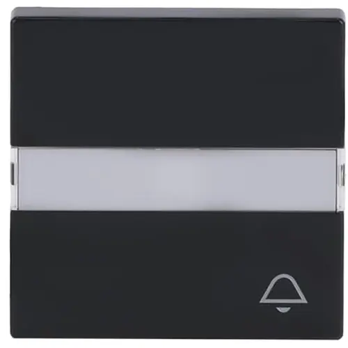 Busch-Jaeger 1789 TR-81 schakelwip controlevenster symbool sleutel Future Linear antraciet glans