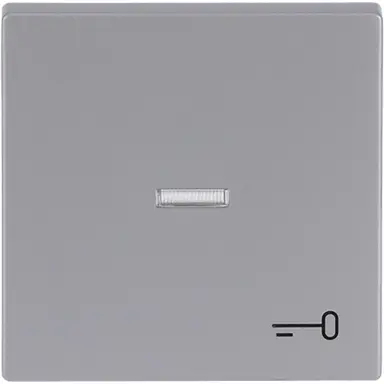 Busch-Jaeger 1789 TR-83 schakelwip controlevenster symbool sleutel Future Linear aluzilver