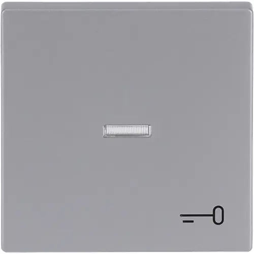 Busch-Jaeger 1789 TR-83 schakelwip controlevenster symbool sleutel Future Linear aluzilver