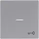 Busch-Jaeger 1789 TR-83 schakelwip controlevenster symbool sleutel Future Linear aluzilver