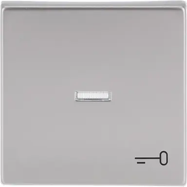 Busch-Jaeger 1789 TR-866 schakelwip met controlevenster en symbool sleutel Future Linear Pure Stainless Steel