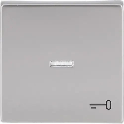 Busch-Jaeger 1789 TR-866 schakelwip met controlevenster en symbool sleutel Future Linear Pure Stainless Steel