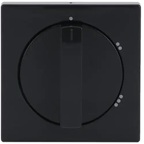 Busch-Jaeger 2542 DR/02-81 draaiknop driestandenschakelaar antraciet glans