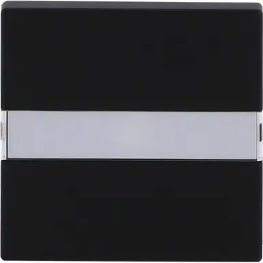 Busch-Jaeger 1764 NLI-885 schakelwip tekstkader met controlelicht Future Linear zwart mat