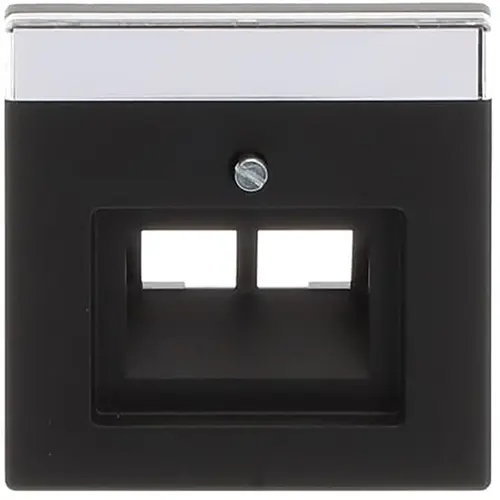 Busch-Jaeger 1803-02-885 centraalplaat RJ45 wandcontactdoos 2-voudig zwart mat