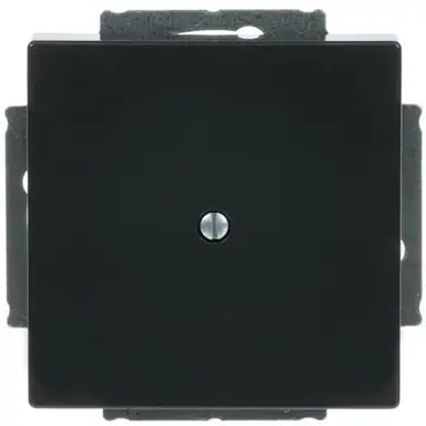 Busch-Jaeger 1742-81 blinddeksel incl. draagframe Future Linear antraciet glans