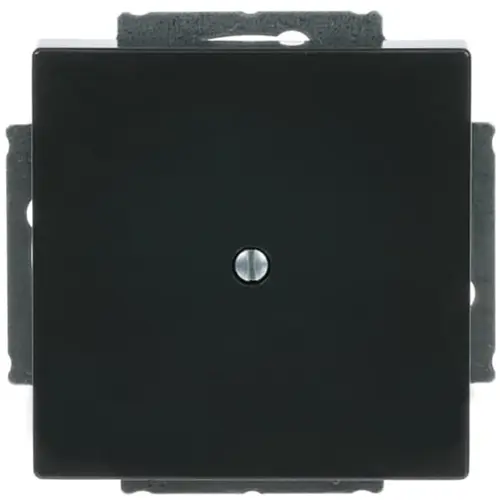 Busch-Jaeger 1742-81 blinddeksel incl. draagframe Future Linear antraciet glans