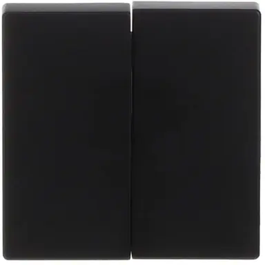 Busch-Jaeger 1785-885 schakelwip 2-voudig Future Linear zwart mat