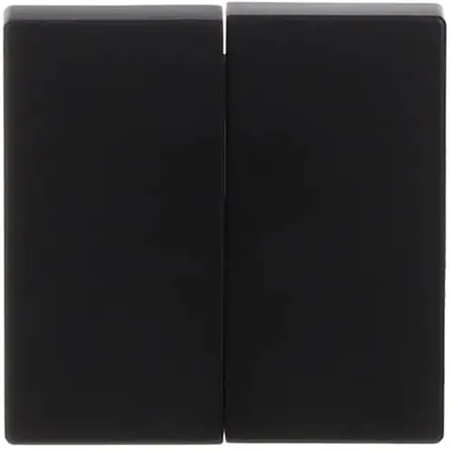 Busch-Jaeger 1785-885 schakelwip 2-voudig Future Linear zwart mat