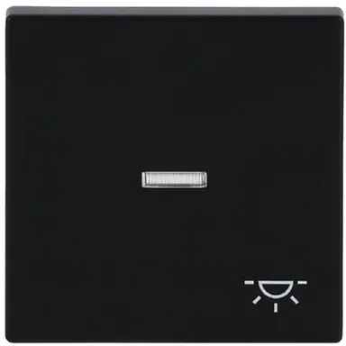 Busch-Jaeger 1789 LI-885 schakelwip controlevenster symbool licht Future Linear zwart mat