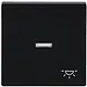 Busch-Jaeger 1789 LI-885 schakelwip controlevenster symbool licht Future Linear zwart mat