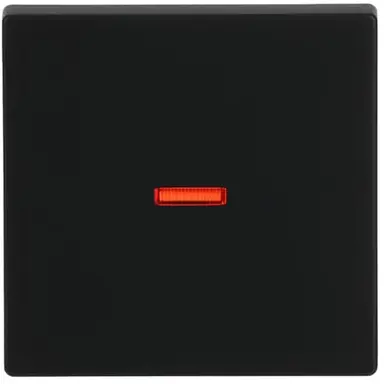 Busch-Jaeger 1789-885 schakelwip controlevenster rood Future Linear zwart mat