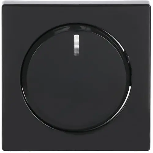 Busch-Jaeger 6540-81-102 dimmerknop draaidimmer Future Linear antraciet glans