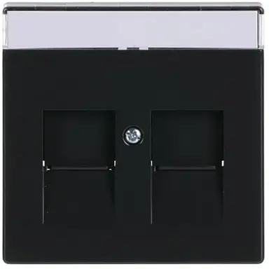 Busch-Jaeger 1800-81 centraalplaat modular jack 2-voudig Future Linear antraciet glans