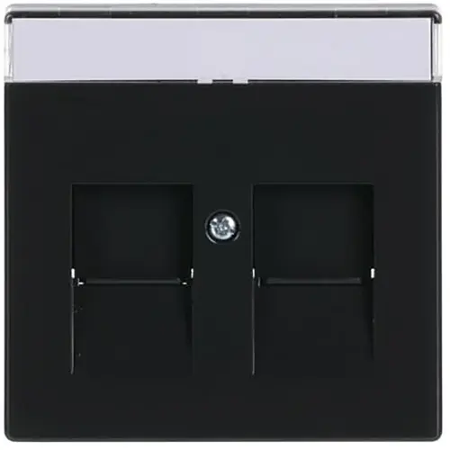 Busch-Jaeger 1800-81 centraalplaat modular jack 2-voudig Future Linear antraciet glans