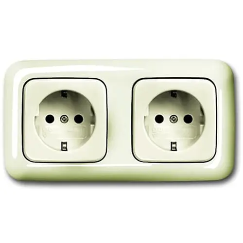 Busch-Jaeger 20-2 EUCJ-212-503 wandcontactdoos 2-voudig randaarde voorbedraad voor duo-inbouwdoos Standaard SI